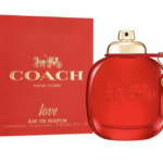 Love Coach New York
